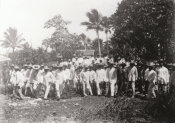 Georg Fritz, No. 183 Guys Wearing White and Hats 